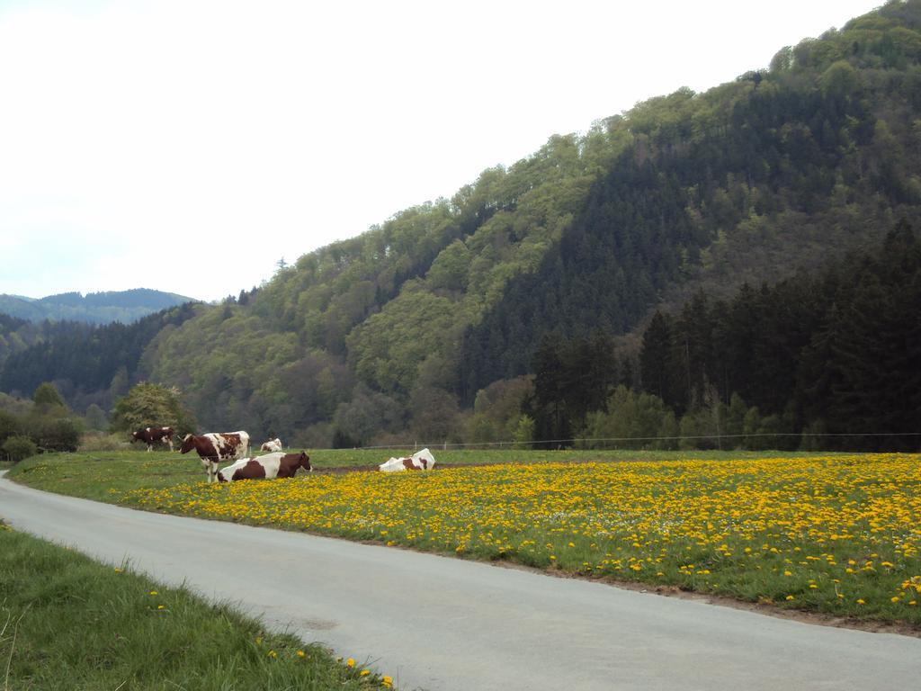 Gasthof Zum Diemeltal Marsberg Εξωτερικό φωτογραφία