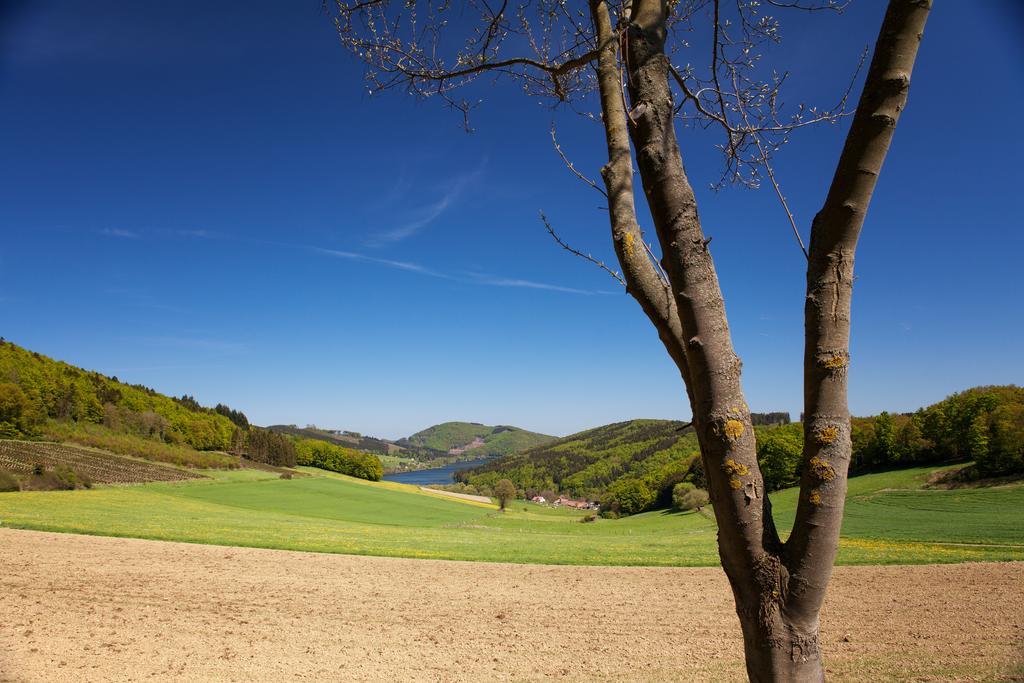 Gasthof Zum Diemeltal Marsberg Εξωτερικό φωτογραφία