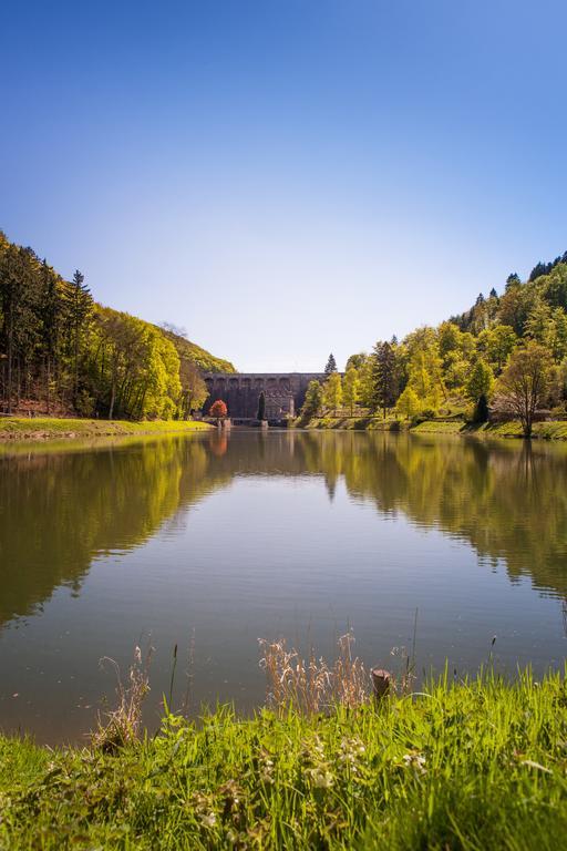 Gasthof Zum Diemeltal Marsberg Εξωτερικό φωτογραφία