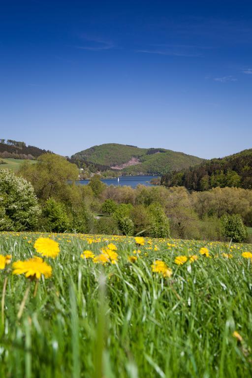 Gasthof Zum Diemeltal Marsberg Εξωτερικό φωτογραφία
